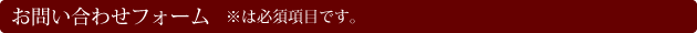 お問い合わせフォーム ※は必須項目です。